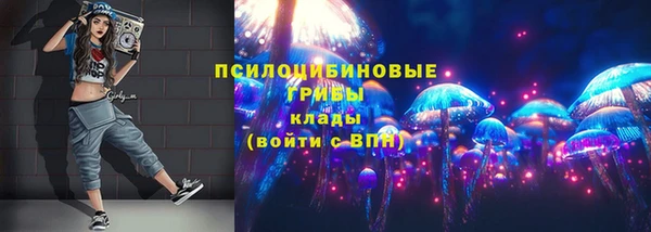 молекула духа Зеленодольск