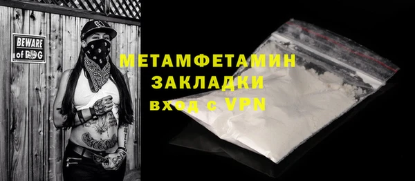 хмурый Ельня