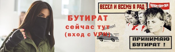 хмурый Ельня