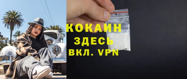 хмурый Ельня