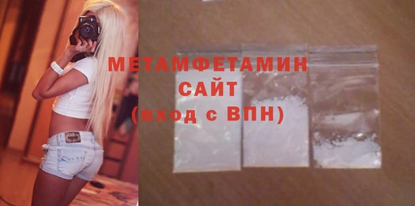 хмурый Ельня