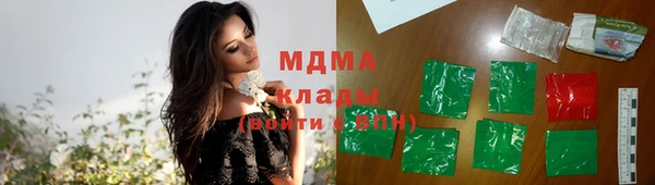 хмурый Ельня