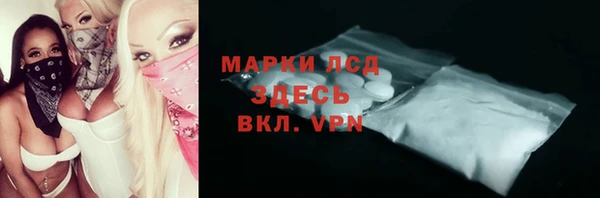 хмурый Ельня